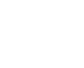 icon white INTERFACE